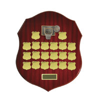 B24-2802 : Shield Plaque