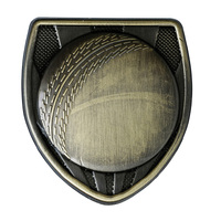 MS-1B: Metal Shield - Cricket Ball