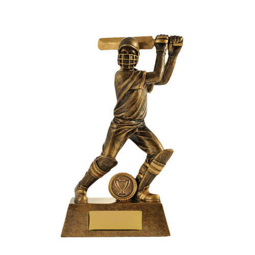 742-1BATD: All Action Hero-Batsman