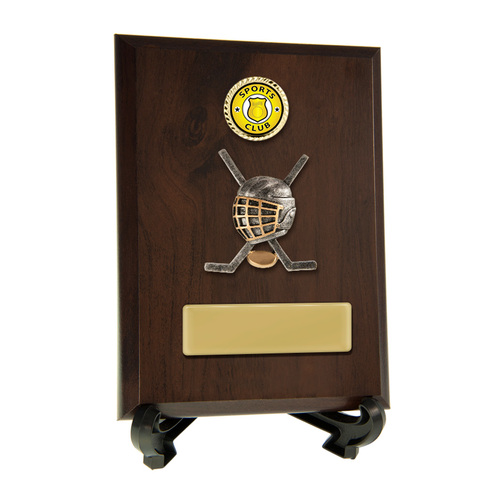 8231CH-CF25G : Plaque with Ice Hockey Trim