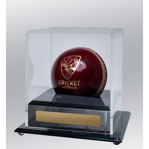 BALL1: Acrylic Ball Holder-Cricket, Baseball